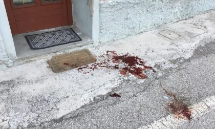 Accoltella e picchia il padrone di casa in via Modenese: arrestato inquilino di 40 anni