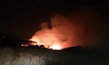 Incendio in Padule nella notte: fiamme alte ma i Vigili del Fuoco lo domano