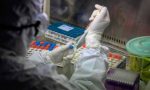 Coronavirus, stabili i nuovi contagi a Pistoia (+61): un decesso in Toscana e ricoveri stazionari