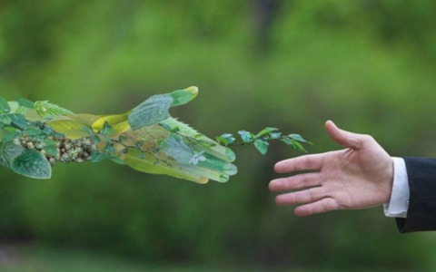 Convegno a Pistoia sui benefici del verde terapeutico