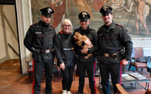 Pescia, barboncino in fuga sulla carreggiata: salvato dai carabinieri