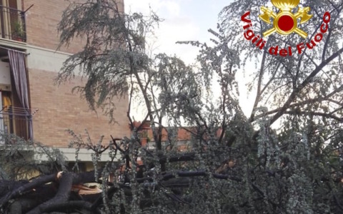 Violenta tromba d’aria a Larciano: aiuti dalla Regione