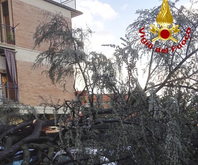 Violenta tromba d’aria a Larciano: aiuti dalla Regione